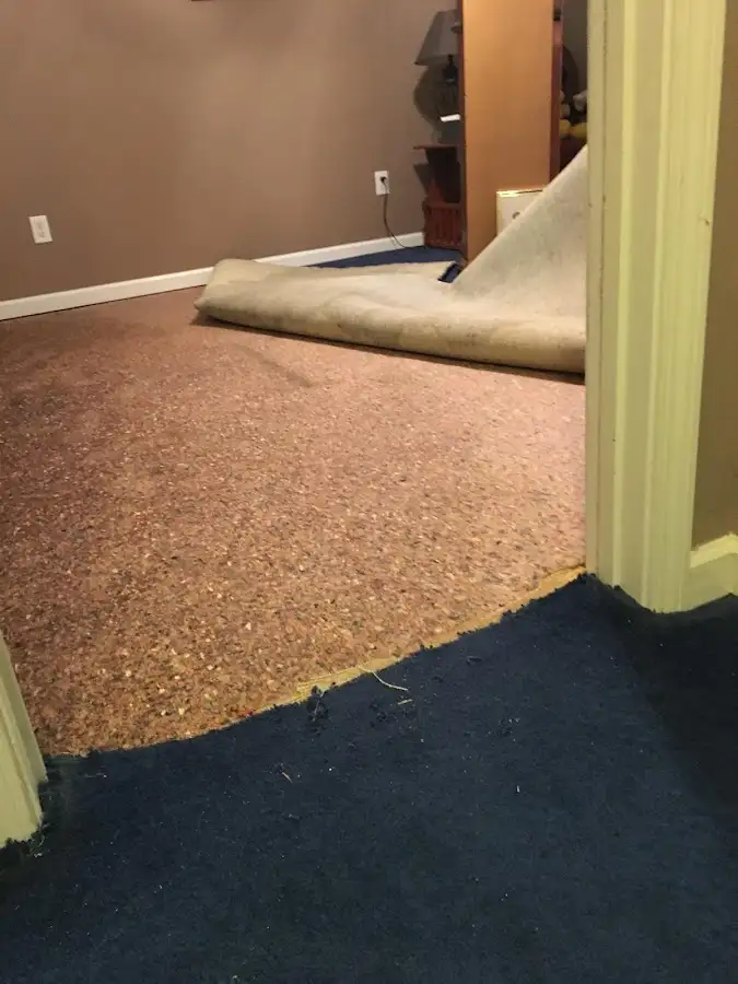 Carpet pad removal revealing water damage during Drying & Dehumidification in Calumet City